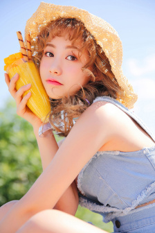 少年嘉庆电视剧
